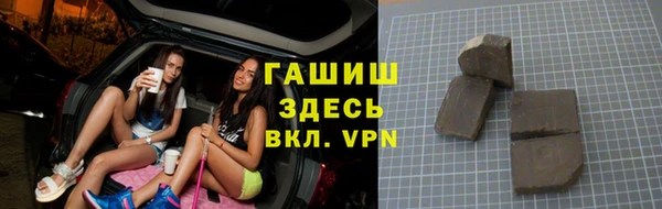 индика Пестово