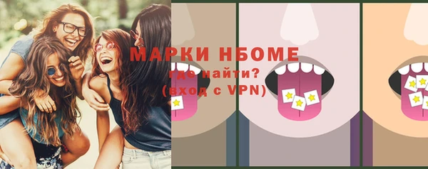 индика Пестово