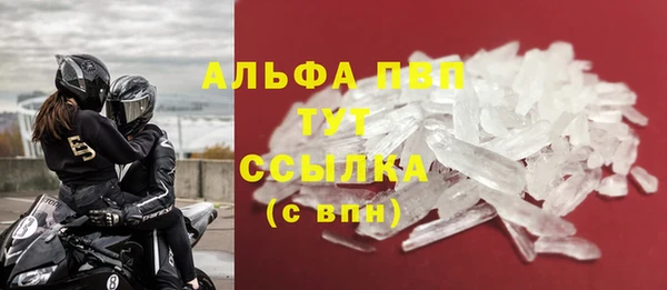 индика Пестово