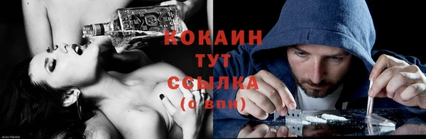 молекула духа Лабытнанги