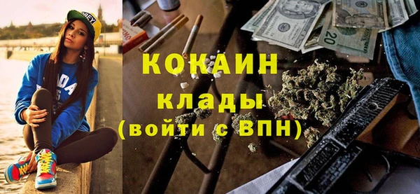индика Пестово