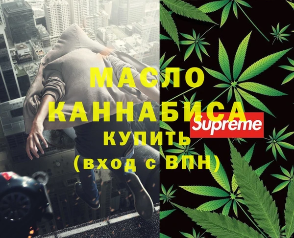 индика Пестово