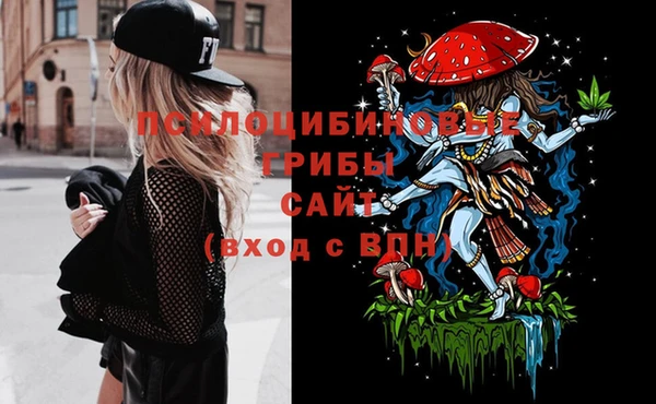 амф Кадников