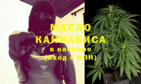 индика Пестово