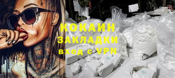 индика Пестово