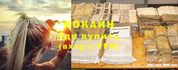 индика Кулебаки