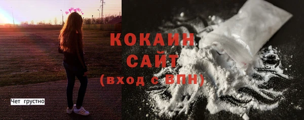 индика Пестово