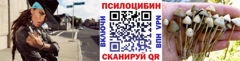 Галлюциногенные грибы прущие грибы  Лодейное Поле 